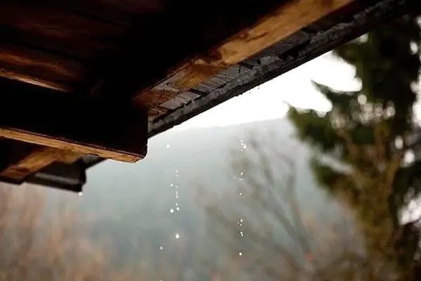 2020/4/24 不合时宜