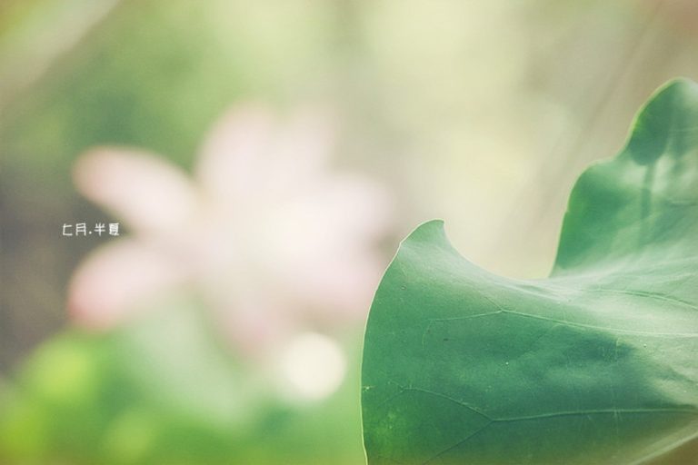 2020/7/6 一想到你我是快乐的