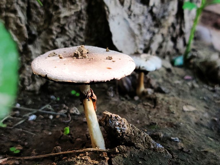 2020/05/26 我眼中那些健身者