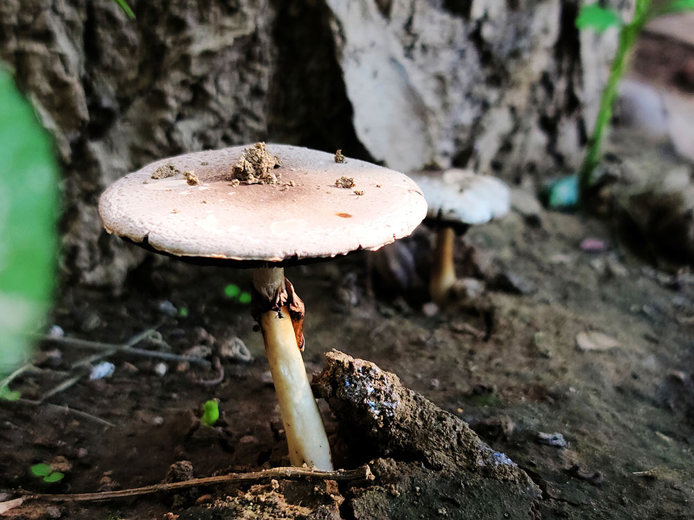 2020/05/26 我眼中那些健身者