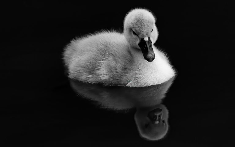 关于思考的一些感悟